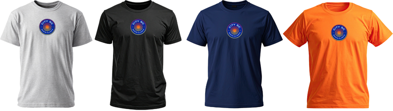 Men's T-Shirt in gray, black, navy and orange
