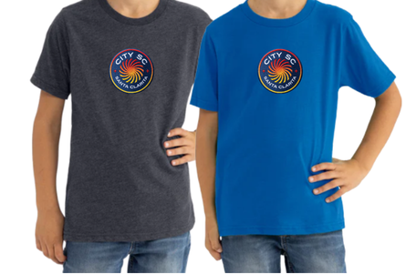 Youth T-Shirt Style A in gray and royal blue